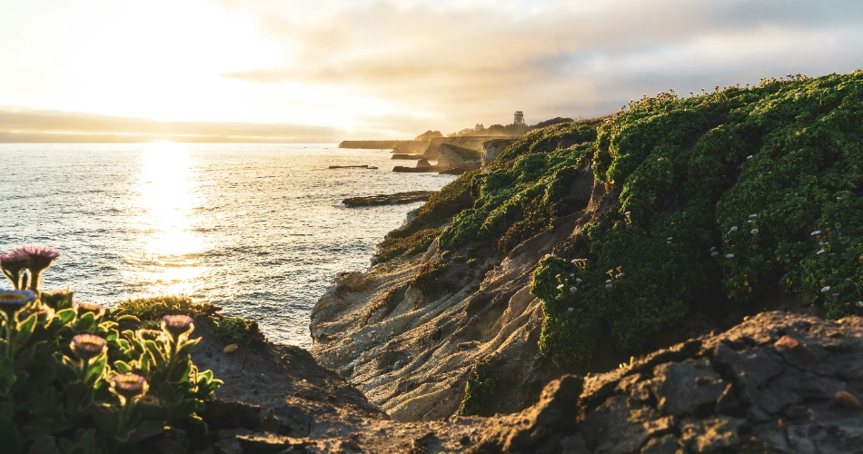 Top 9 Hiking Trails to Explore in Santa Cruz