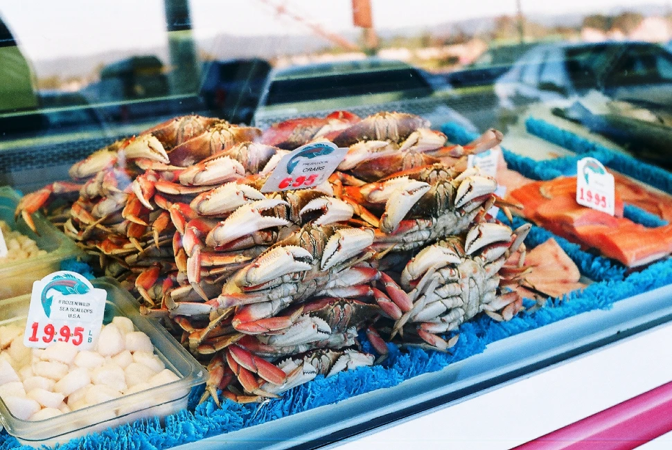 A Gastronomic Journey: Where to Eat in Santa Cruz, CA