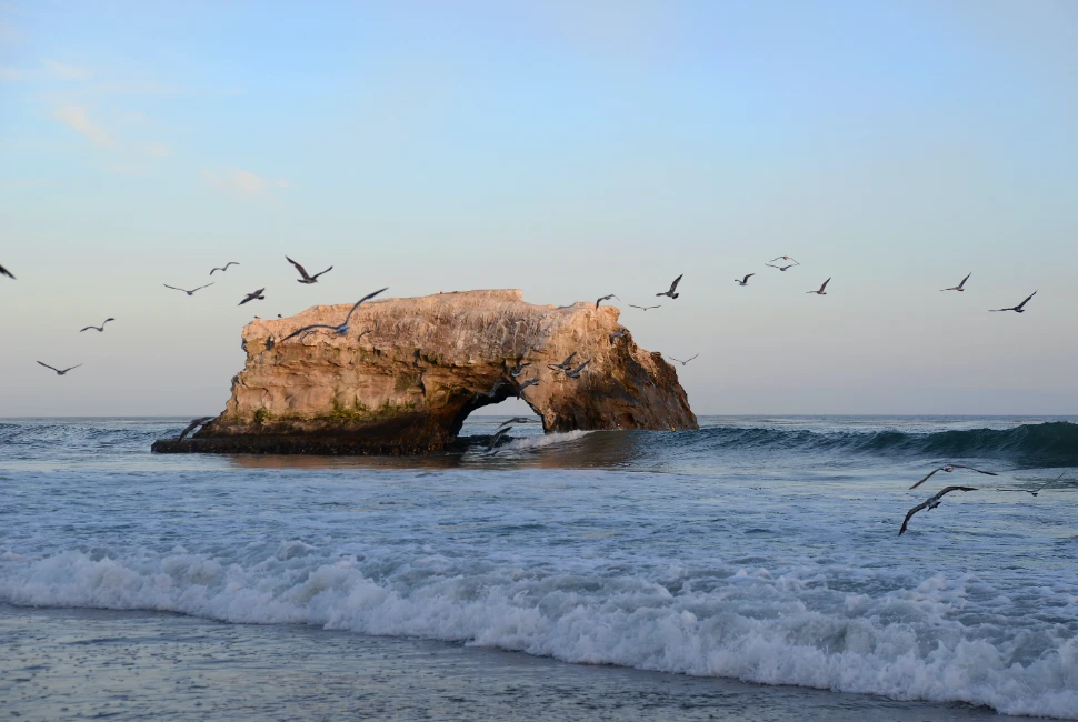Santa Cruz, CA: A Coastal Gem with Perfect Weather